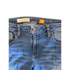 Pilcro and the Letterpress Blue Skinny Jeans